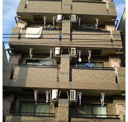 東京都板橋区大山金井町 賃貸マンション 1K